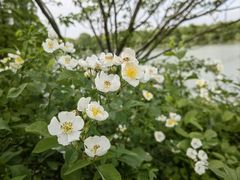 -宜兴龙背山森林公园