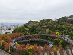 -福道