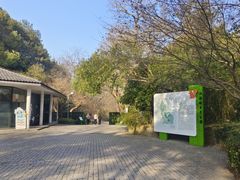 -西湖风景区-江洋畈生态公园