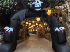 -横店影视城梦幻谷园区