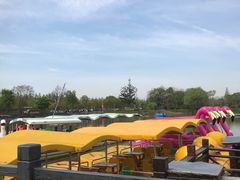 -上海长兴岛郊野公园