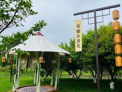 -长田漾湿地公园