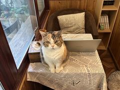 -隅cafe(傅厚岗店)