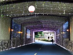 -浙江安吉JW万豪酒店