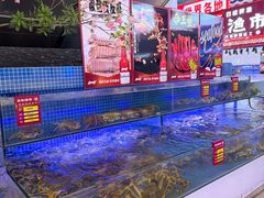 -驻海渔市(置信店)