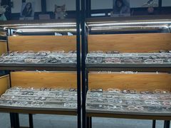 -五派眼镜(沙河店)
