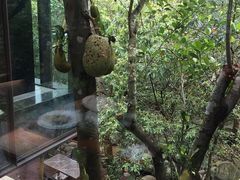 -七仙岭君澜度假酒店·桃源小馆中餐厅