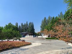 -阿西娅食府(中关村店)