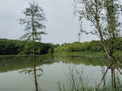 -昆山城市生态森林公园