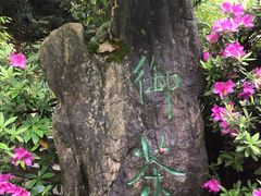 -十八棵（老龙井）御茶园(老龙井店)