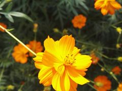 -艾溪湖湿地公园