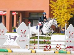 -北京群众马术培训基地