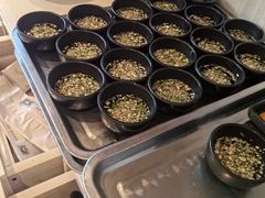-汉拿山(包河万达店)