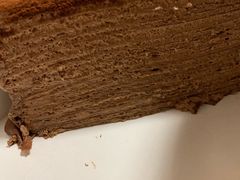 -Awfully Chocolate(嘉里城店)