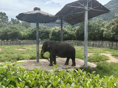 -西安秦岭野生动物园