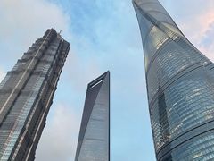 -上海柏悦酒店·世纪100牛排馆