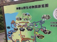 -西霞口神雕山野生动物世界