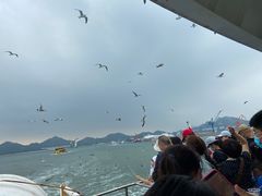 -海驴岛(荣成市)