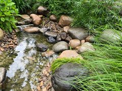 -活水公园