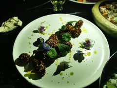 -STARRY CAFE & LOUNGE BAR(高新店)