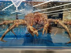 -盒马X会员店(上海森兰商都店)
