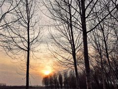 -东郊湿地公园