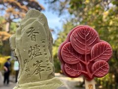 -香山公园