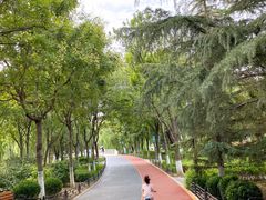 -大兴滨河森林公园