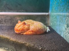 -上海大自然野生昆虫馆