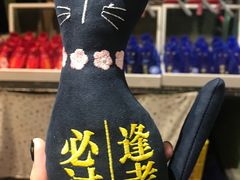 -猫咪博物馆(顶澳仔猫街店)