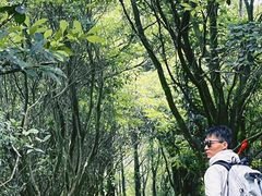 -广州市石门国家森林公园