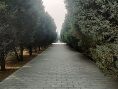 -秦始皇帝陵博物院-丽山园