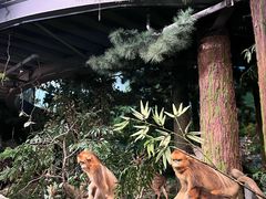 -天津自然博物馆