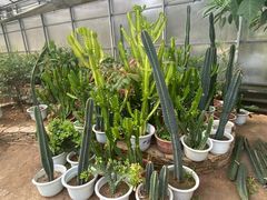 -兰陵国家农业公园