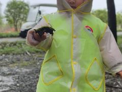 -嘉北郊野公园
