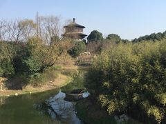 -八大山人梅湖景区