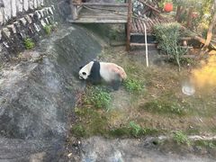 -泉州海丝野生动物世界