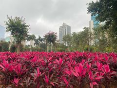 -万绿园