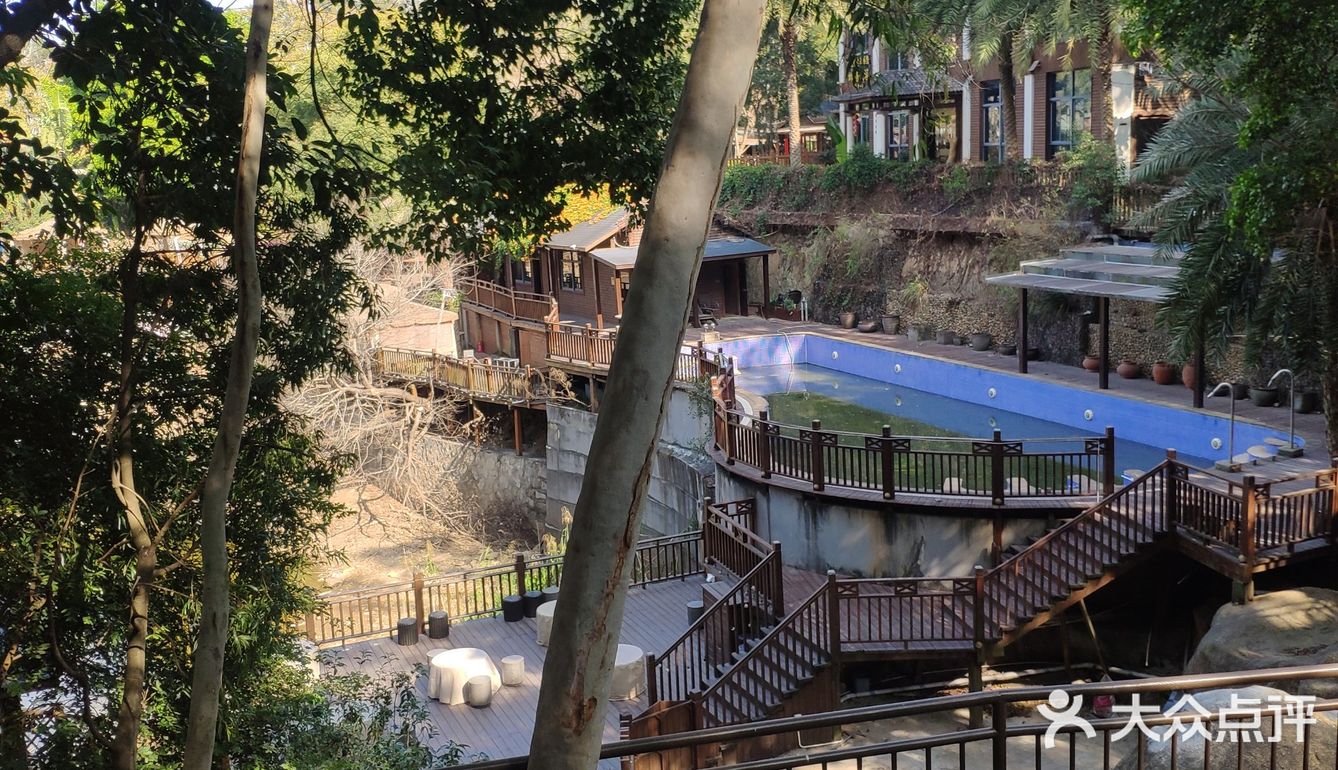 今天，我选择宅