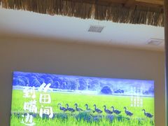 -杨厨的田园饭店(长城路店)