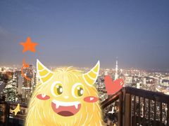 -六本木新城展望台(东京城市景观)