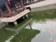 -江心屿景区