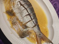 鸡油花雕蒸鲥鱼-惠食佳·朱雀(东方商厦店)