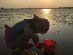 -南汇新城海滩