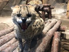 -波塞冬旅游度假区