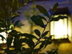 -西安凯悦酒店·湖畔中餐厅