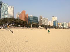 -海云台海滩