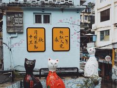 -猫咪博物馆(顶澳仔猫街店)