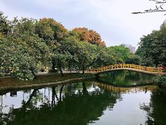 -晓港公园