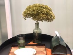 -乐橙肌愈·屏障修护专研所